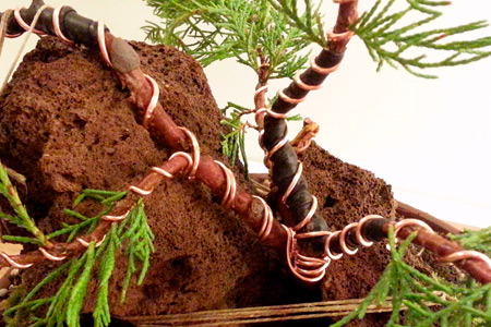 Alambrado de bonsáis a domicilio