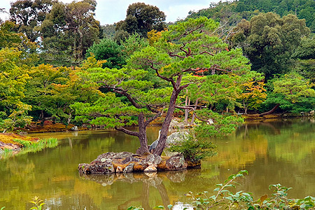Diseño jardín japonés estilo Tsukiyama o jardín colina